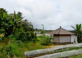 Dajan Buyan Homestay, фото 40