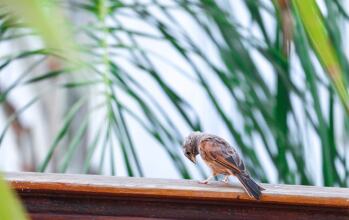 Bellamane Ryad & Spa - Adults Only, фото 33