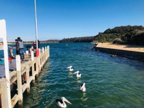 Black Swan Motor Inn, фото 19 Black Swan Motor Inn, фото 19