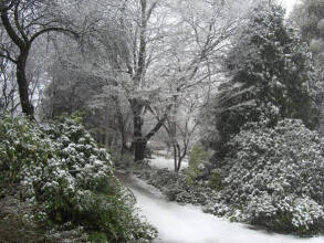 Woolrich Historic Garden Accommodation