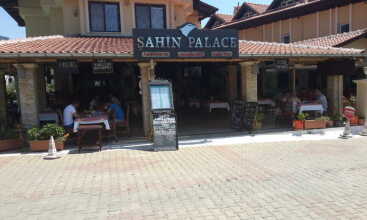 Sahin Palace, фото 35