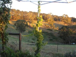 Springmead B&b, фото 17