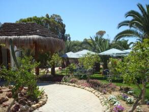 Eden Club, фото 35 Eden Club, фото 35