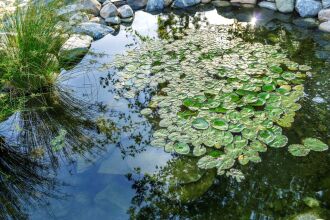 Ayres Lodge Alpine, фото 49 Ayres Lodge Alpine, фото 49