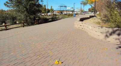 Farmington Inn, фото 13 Farmington Inn, фото 13