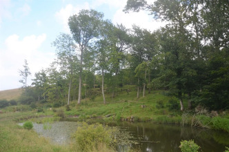 Lehnsgaard Ranch, фото 20