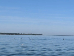 Metung Holiday Villas, фото 15