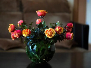 Черное Море Новый Привоз, фото 35 Черное Море Новый Привоз, фото 35