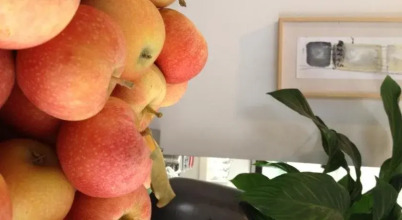 Hotel El Paso, фото 30