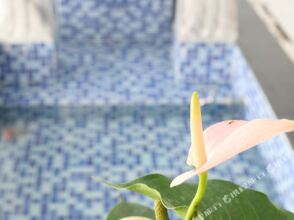 Phuong Dong Hotel & Apartment, фото 39 Phuong Dong Hotel & Apartment, фото 39