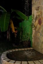 Pousada 100 Passos, фото 17