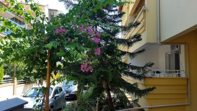 Sanem Apartments - Adults Only, фото 7