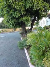 Beverly Cliff Inn, фото 3 Beverly Cliff Inn, фото 3