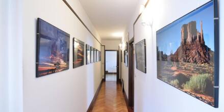 Giorgione Gallery, фото 9