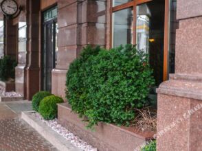 Бутик Отель Ривьера Он Подол, фото 8