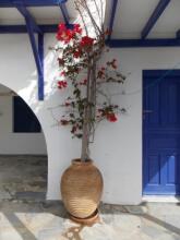 Porto Apergis, фото 7