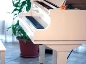 Черное Море Новый Привоз, фото 46 Черное Море Новый Привоз, фото 46