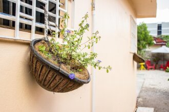 Eventuality Bed and Breakfast, фото 11 Eventuality Bed and Breakfast, фото 11