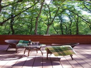 Park Goloseevo, фото 44