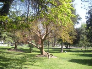 San Ignacio Suite Apartments, фото 42