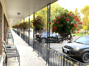Park Place Motel, фото 40