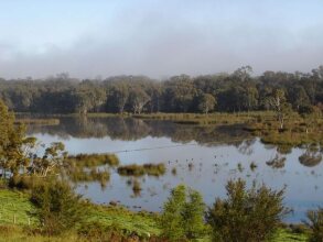 Frog Gully Cottages, фото 22
