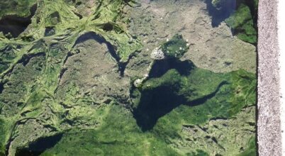 Principe Terme, фото 37 Principe Terme, фото 37