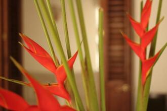 Casa Del Tejadillo, фото 43 Casa Del Tejadillo, фото 43