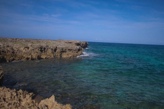 Cottage On The Ocean, фото 17 Cottage On The Ocean, фото 17
