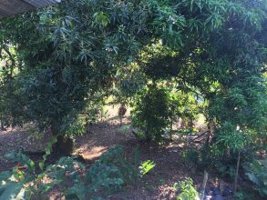 Cabañas Valeska, фото 28