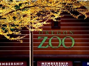 Courtyard Marriott City Center, фото 35 Courtyard Marriott City Center, фото 35