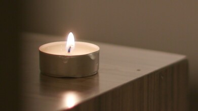 Myrtle, фото 14 Myrtle, фото 14