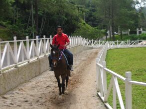 Shahzan Inn, фото 44 Shahzan Inn, фото 44