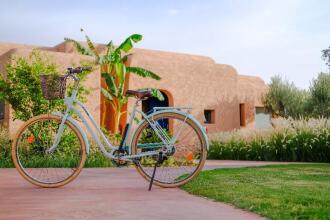 Oasis Lodges, фото 20 Oasis Lodges, фото 20