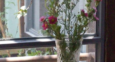 Hotel Patio Yungay, фото 38