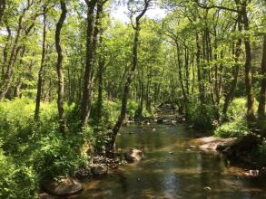 Tyleback, Sure Hotel Collection By Best Western, фото 29 Tyleback, Sure Hotel Collection By Best Western, фото 29