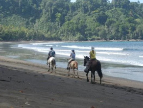 Jinete De Osa, фото 10 Jinete De Osa, фото 10