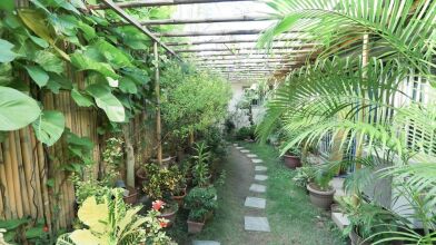 Guesthouse Storyshare Guadalupe, фото 10 Guesthouse Storyshare Guadalupe, фото 10