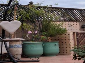 Maison Aicha, фото 23 Maison Aicha, фото 23