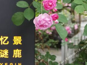 Yegin Hotel, фото 23 Yegin Hotel, фото 23