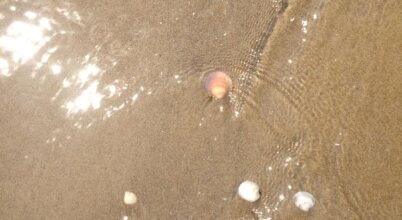 Hotel El Paso, фото 13