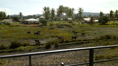 District Eight, фото 35