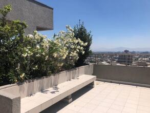 Bello depto San Pablo 3, фото 20 Bello depto San Pablo 3, фото 20