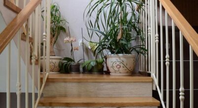 Gosti, фото 33 Gosti, фото 33