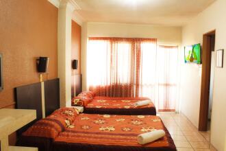 Hotel Plaza Aleman, фото 2 Hotel Plaza Aleman, фото 2