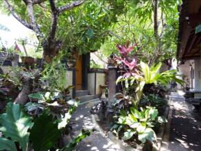 Danas Canggu Guesthouse