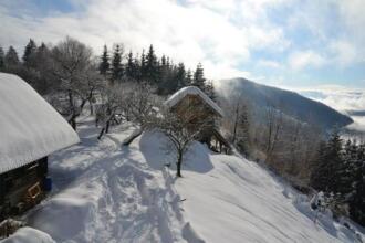 Chalets Toplak, фото 24