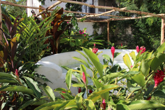 Hiliki House, фото 10 Hiliki House, фото 10