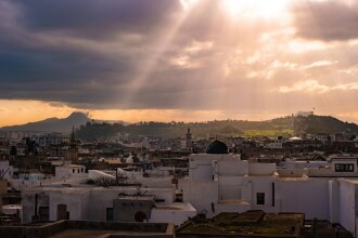 Four Seasons Hotel Tunis, фото 18 Four Seasons Hotel Tunis, фото 18