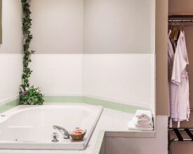 Econo Lodge Cle Elum, фото 23 Econo Lodge Cle Elum, фото 23